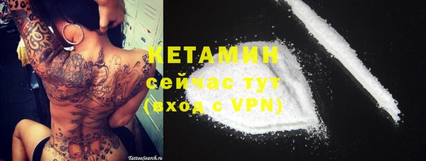 дживик Бородино