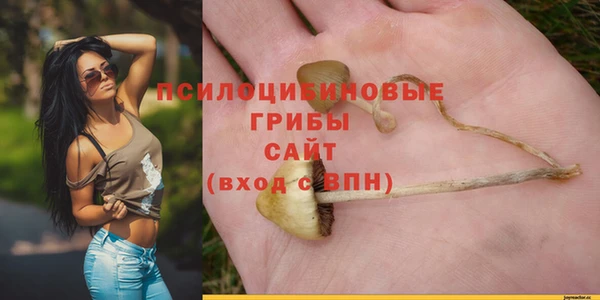 твердый Верея