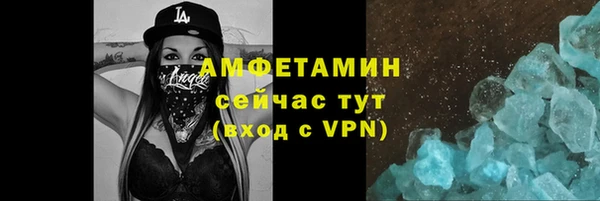 дживик Бородино