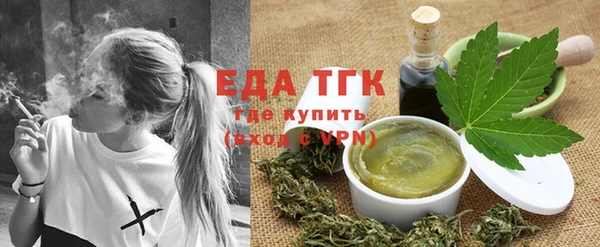 дживик Бородино