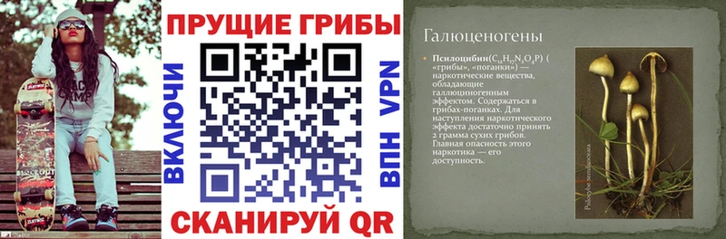 Псилоцибиновые грибы ЛСД  Десногорск 
